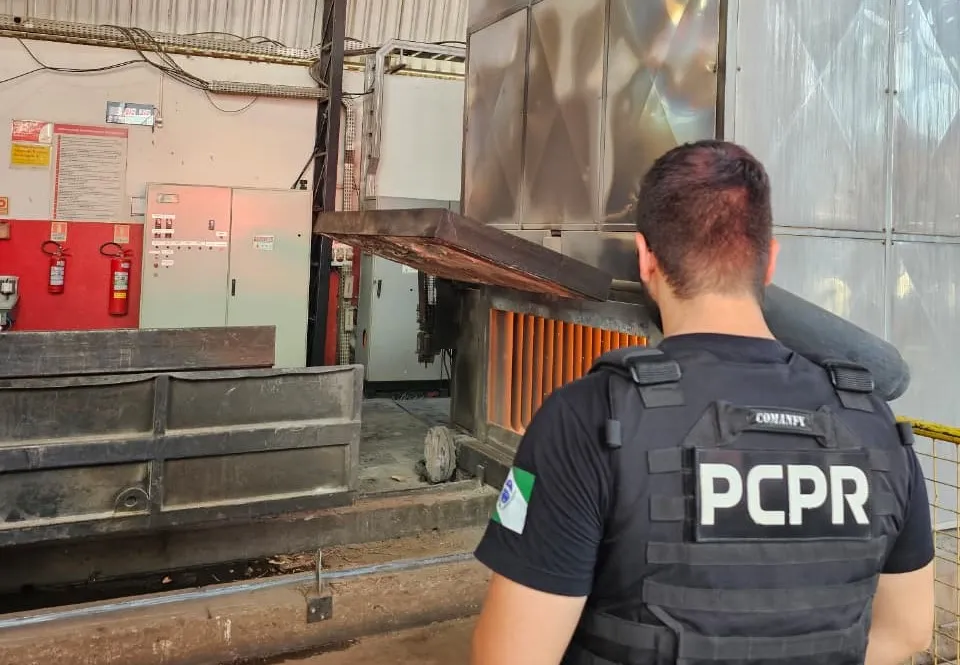 Divulgação