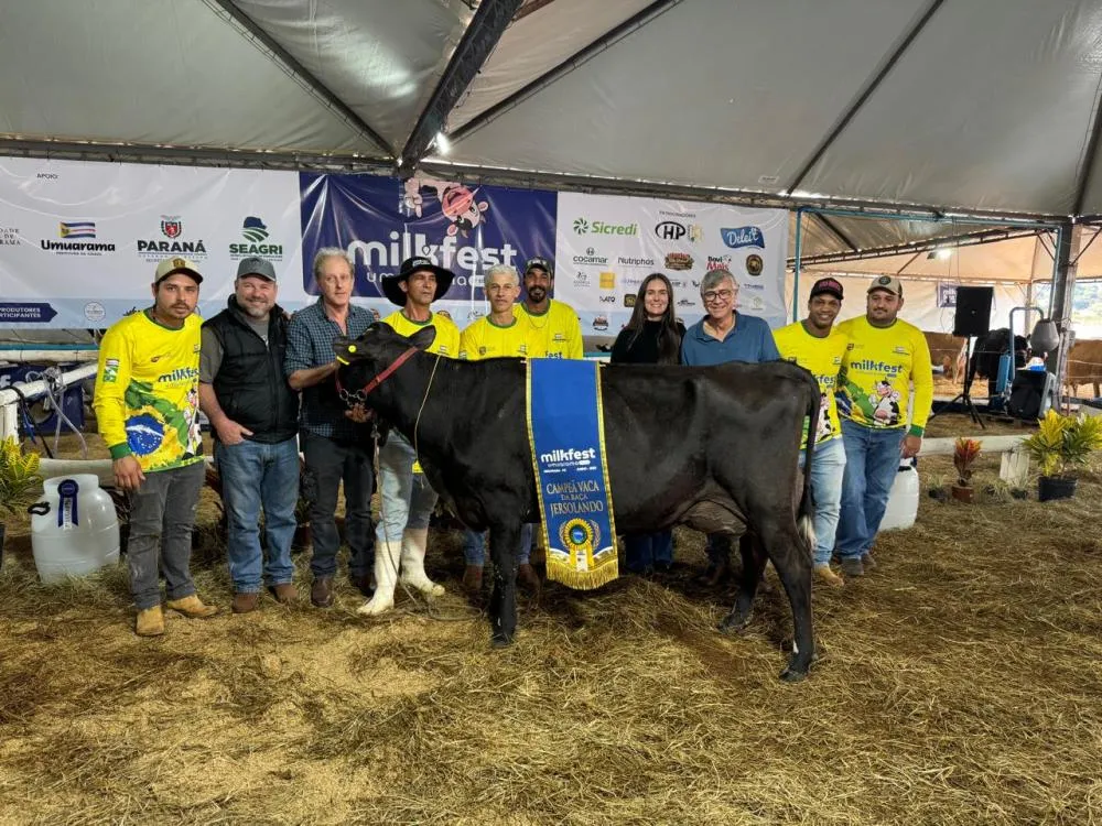 Animais de produtores de Umuarama são grandes campeões em julgamento de raças