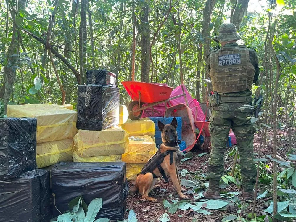 Operações apreendem quase uma tonelada de maconha e 3 mil pacotes de cigarros no Oeste