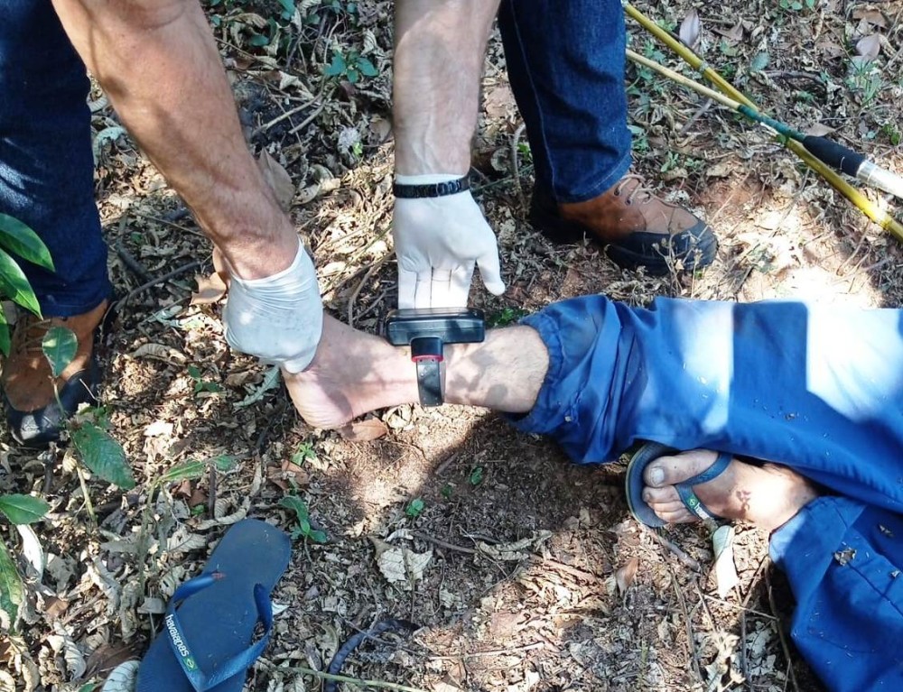 Tornozeleira eletrônica facilita a localização do corpo de homem desaparecido em Umuarama