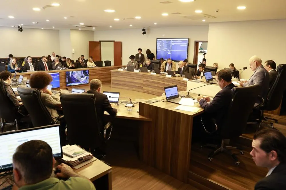 CCJ da Assembleia aprova inclusão produtiva para famílias de pessoas com autismo 