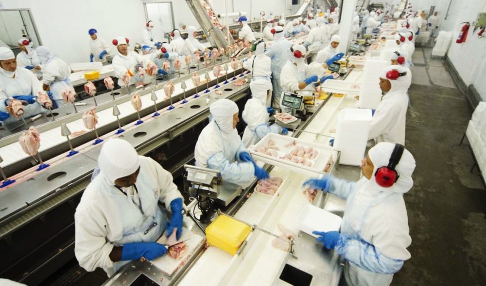 Programa Jovem Aprendiz abre série de vagas para estudantes com 18 anos de idade