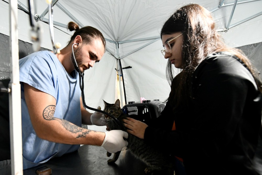 Inscritos no programa de vacinação contra raiva devem atender telefonema da Secretaria de Meio Ambiente