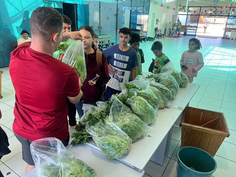 Ceju transforma espaço ocioso em horta comunitária e distribui alimentos