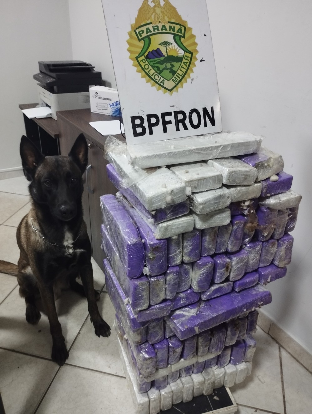 Baiana é presa pelo BPFron com 66 quilos de maconha na PR-323