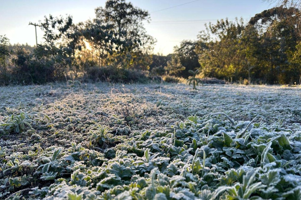 Paraná teve 15 cidades com temperatura abaixo de zero no dia mais frio do ano
