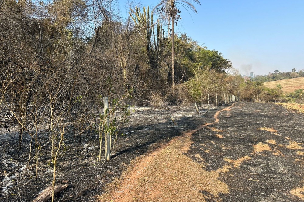 Helicóptero do IAT reforça combate a incêndio florestal em Maria Helena