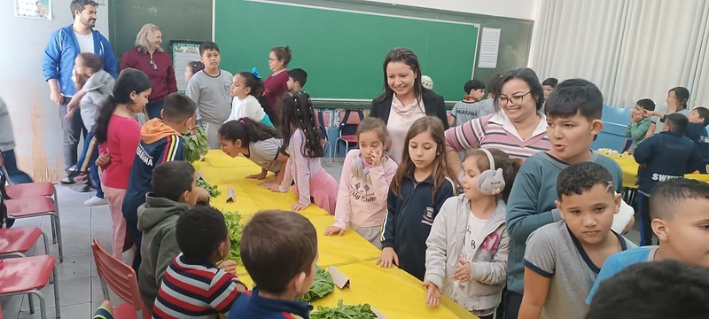 Projeto incentiva alunos a aproveitar espaços da escola e a cultivar verduras em casa