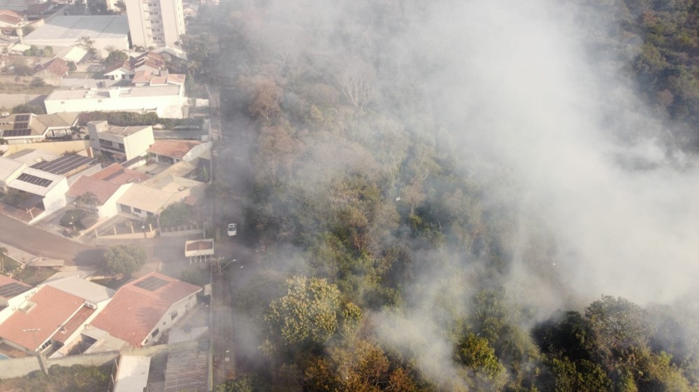 Incêndio já destruiu mais de 85% do Bosque dos Xetá