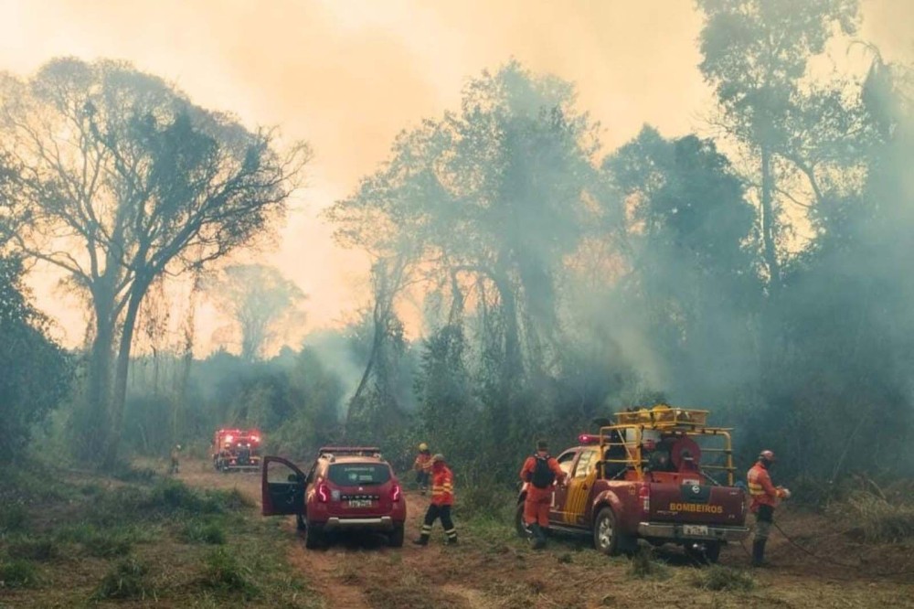 Corpo de Bombeiros já atendeu mais de 9,3 mil incêndios florestais no Paraná