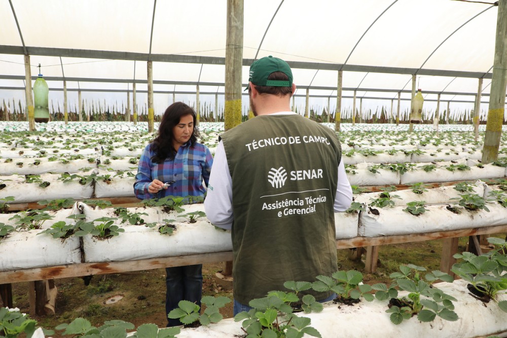 ATeG: melhoria na base da agropecuária do Paraná