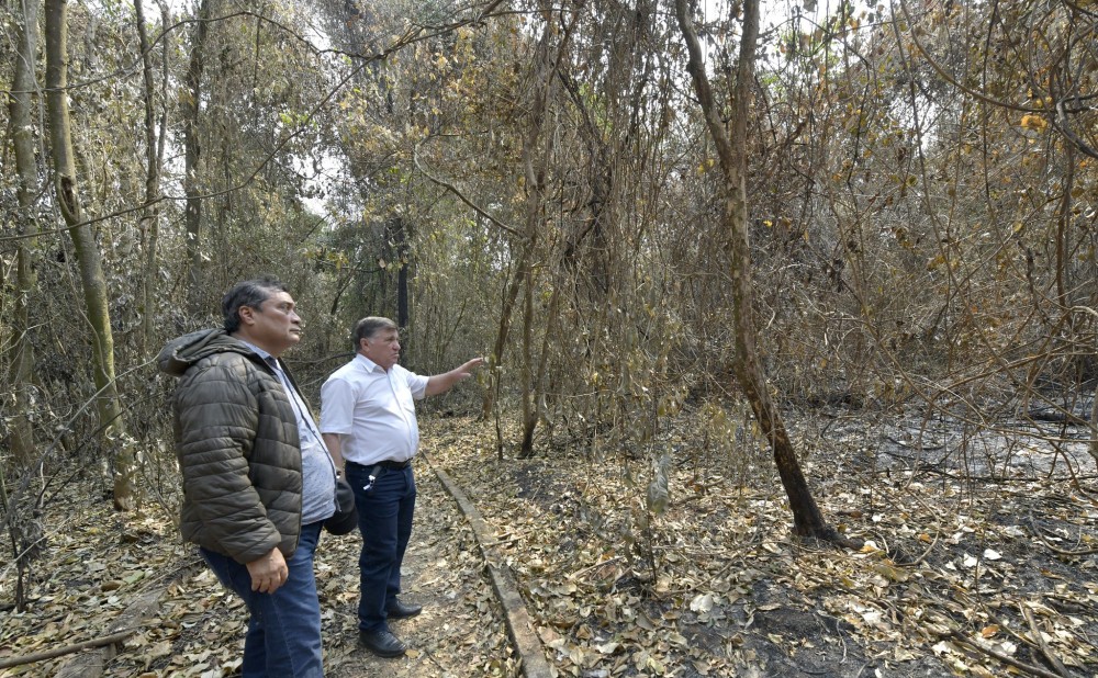 IAT e município projetam a recuperação da área incendiada no bosque dos Xetá