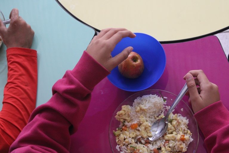 Conselho Nacional de Segurança Alimentar pede reajuste dos valores da merenda escolar em 2025