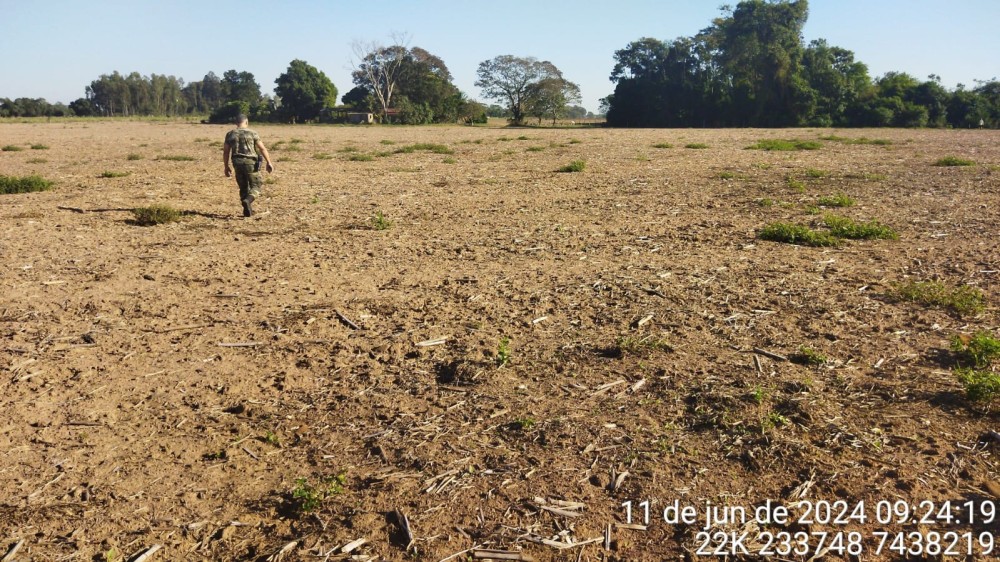 Polícia Ambiental autua dono de propriedade rural por danificar vegetação nativa