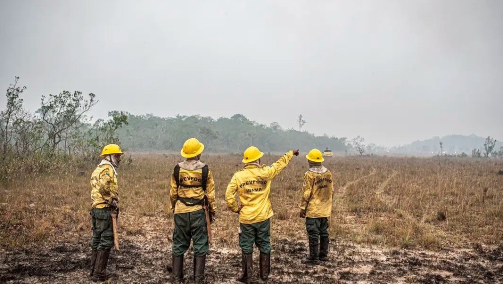 Flavio Dino, estabelece orçamento de emergência para combate a incêndios