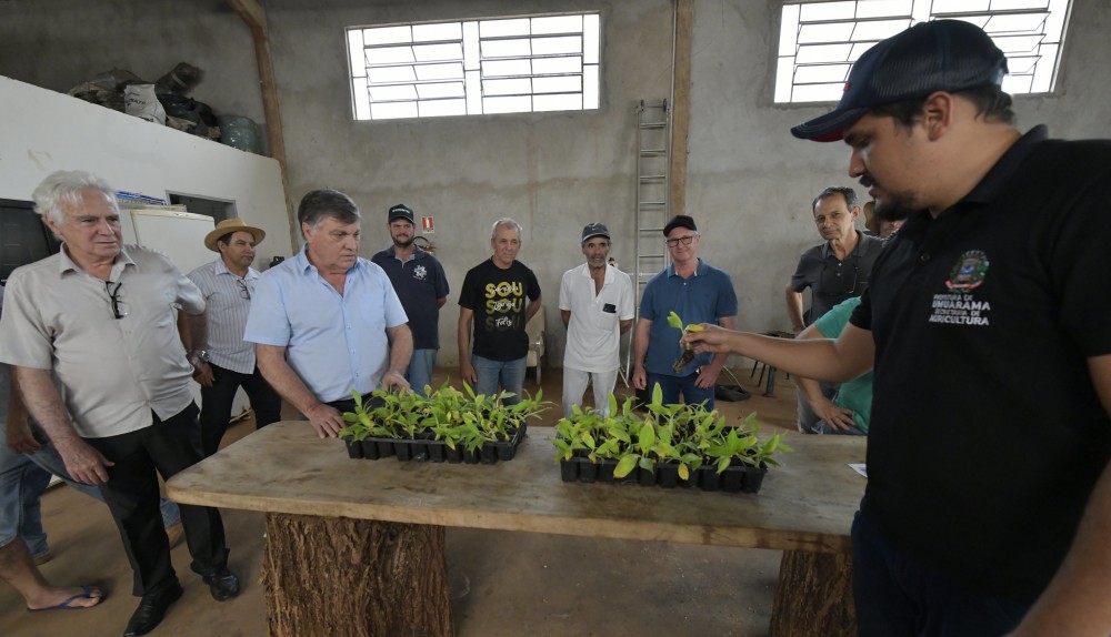 Prefeitura entrega 4 mil mudas de bananas a 25 pequenos produtores da agricultura familiar