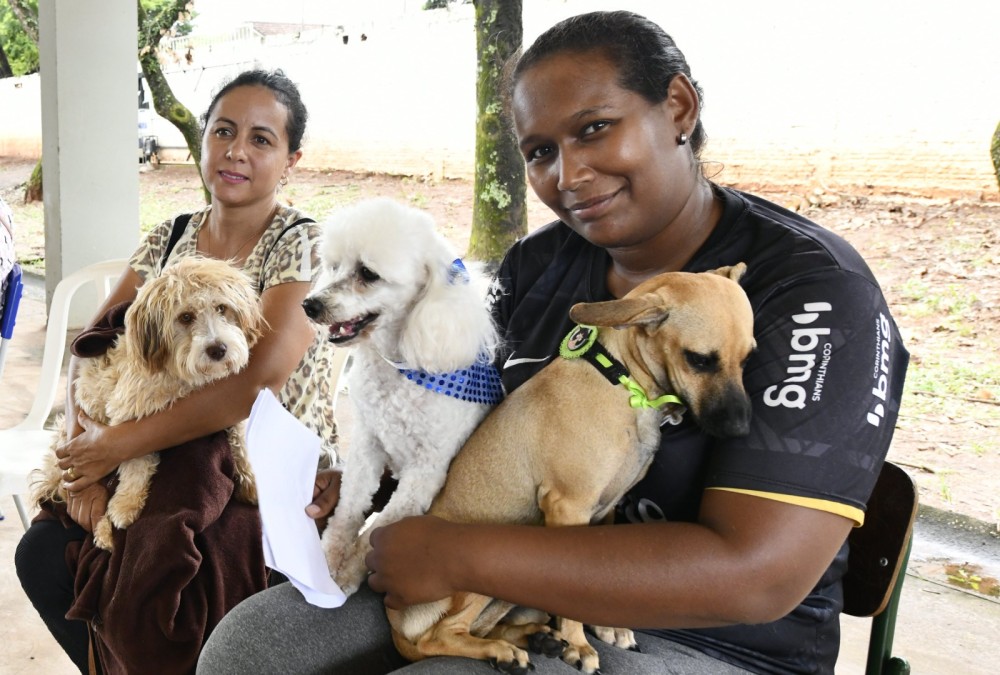 Inscrições para programa de castração de cães e gatos da prefeitura será no dia 1° de outubro