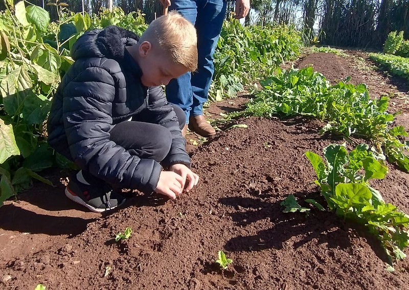 Cultivo de plantas trás novas experiências a alunos com atendimento especializado
