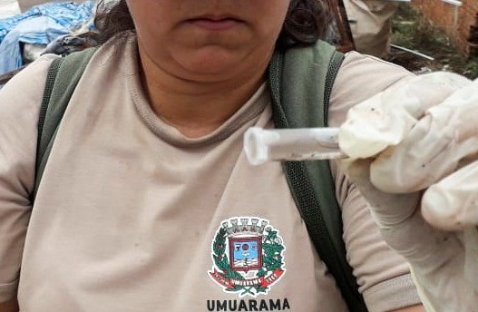 Boletim semanal da dengue confirma mais 276 casos da doença no Paraná