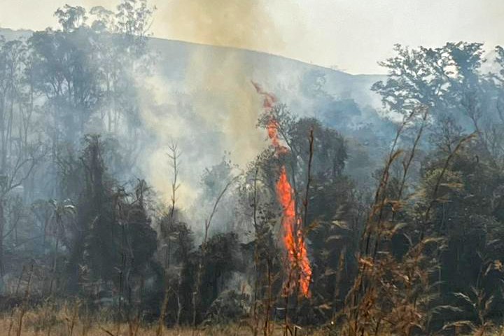 Com volta do calor, Bombeiros reforçam alerta de combate a incêndios florestais