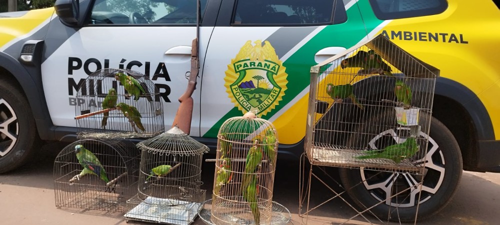Polícia Ambiental realiza prisão por posse de arma e manutenção de aves em cativeiro