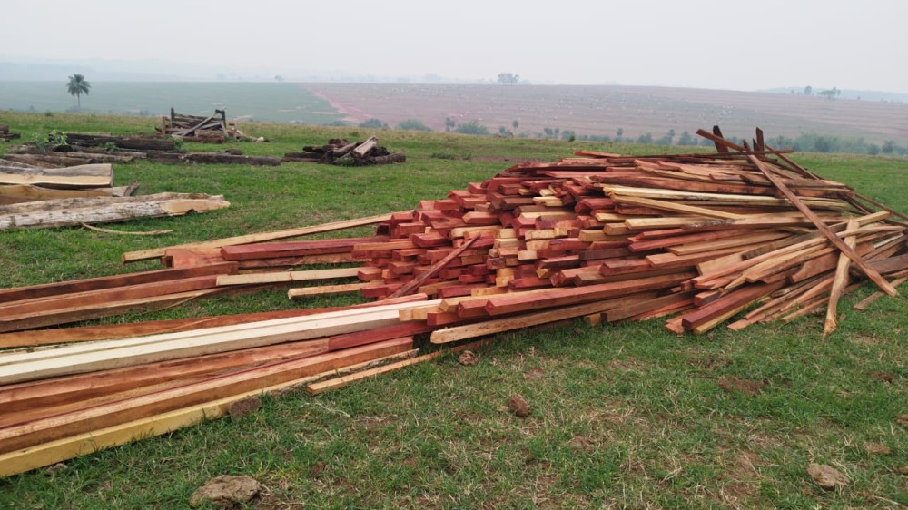 Polícia Ambiental apreende grande quantidade de madeira nativa desmatada ilegalmente