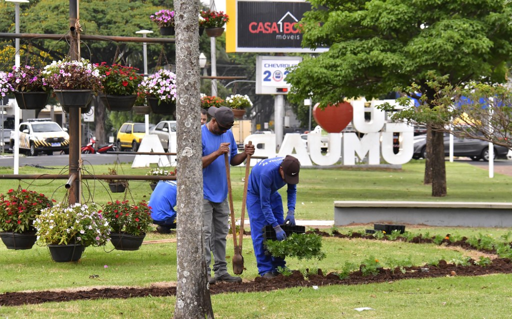 Secretaria de Meio Ambiente prepara 40 mil mudas de flores para o Natal em Umuarama