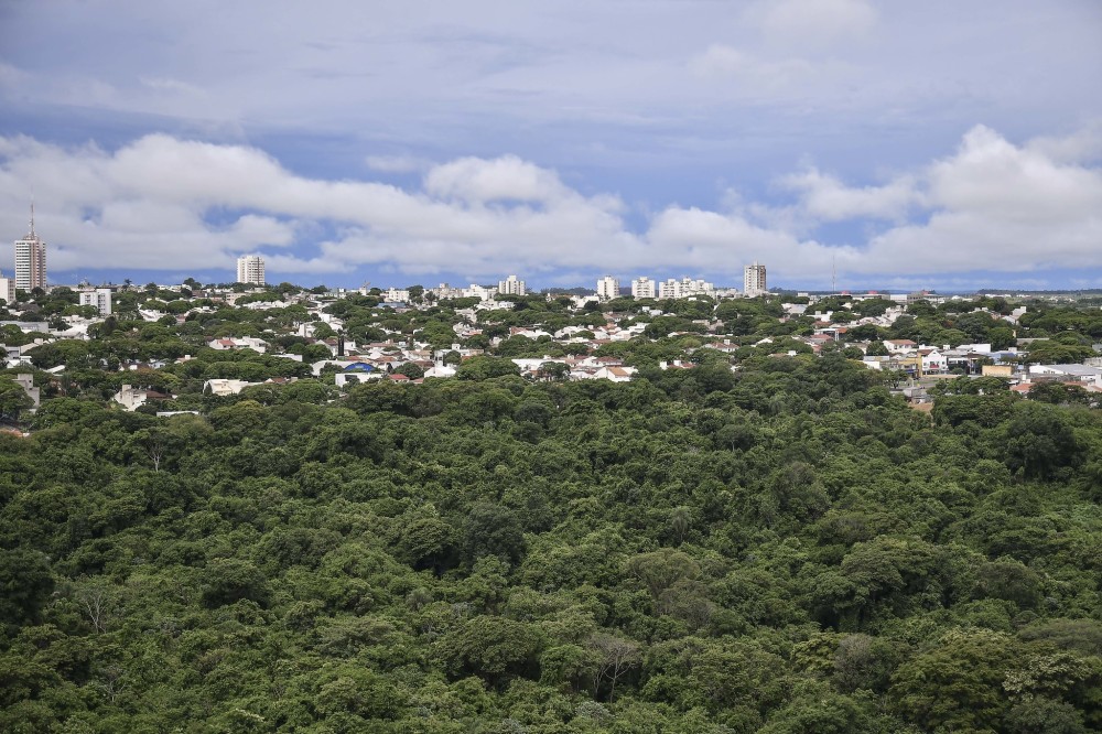 Órgãos ambientais unem-se em seminário sobre legislação, produção e consumo sustentável
