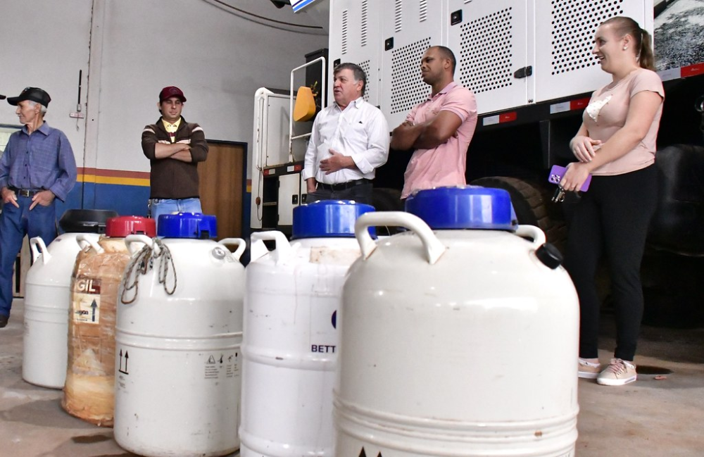 Prefeitura distribui sêmen sexado a pequenos produtores rurais que fazem parte do Pró-Leite