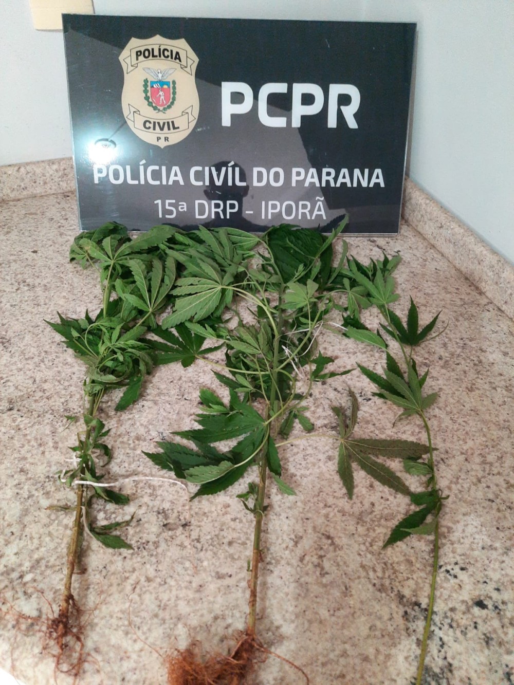 Polícia Civil de Iporã cumpre mandado de prisão em distrito de Francisco Alves