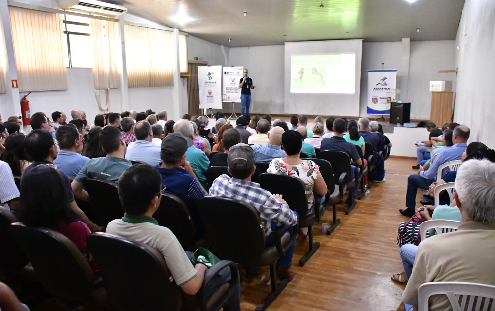 Especialistas debatem a produção agrícola sem prejuízo ao meio ambiente