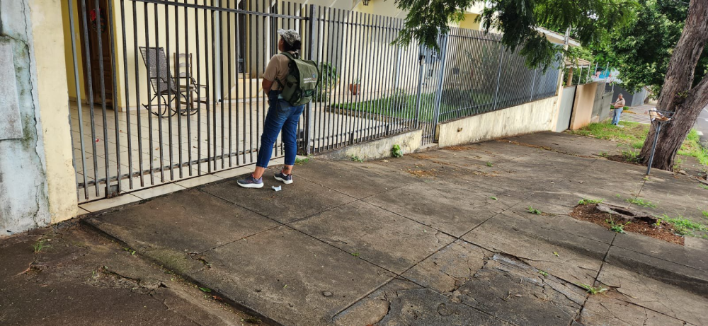 Umuarama completa seis semanas sem o registro de novos casos de dengue