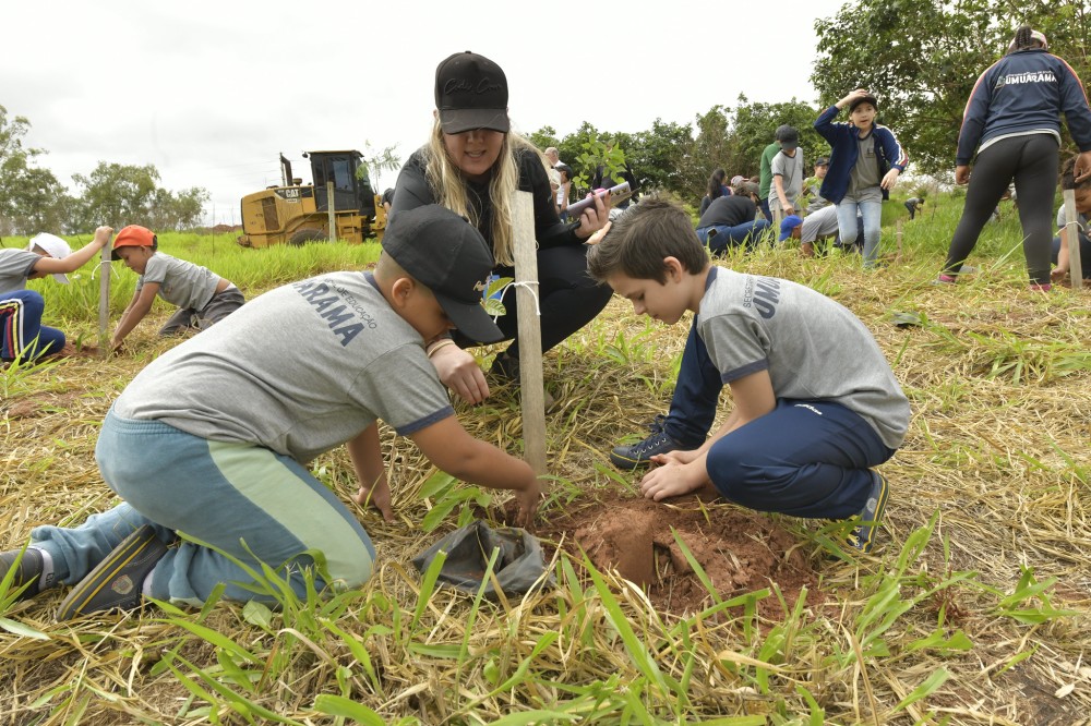 Alunos da Escola Evangélica auxiliam no reflorestamento de área atingida por incêndio