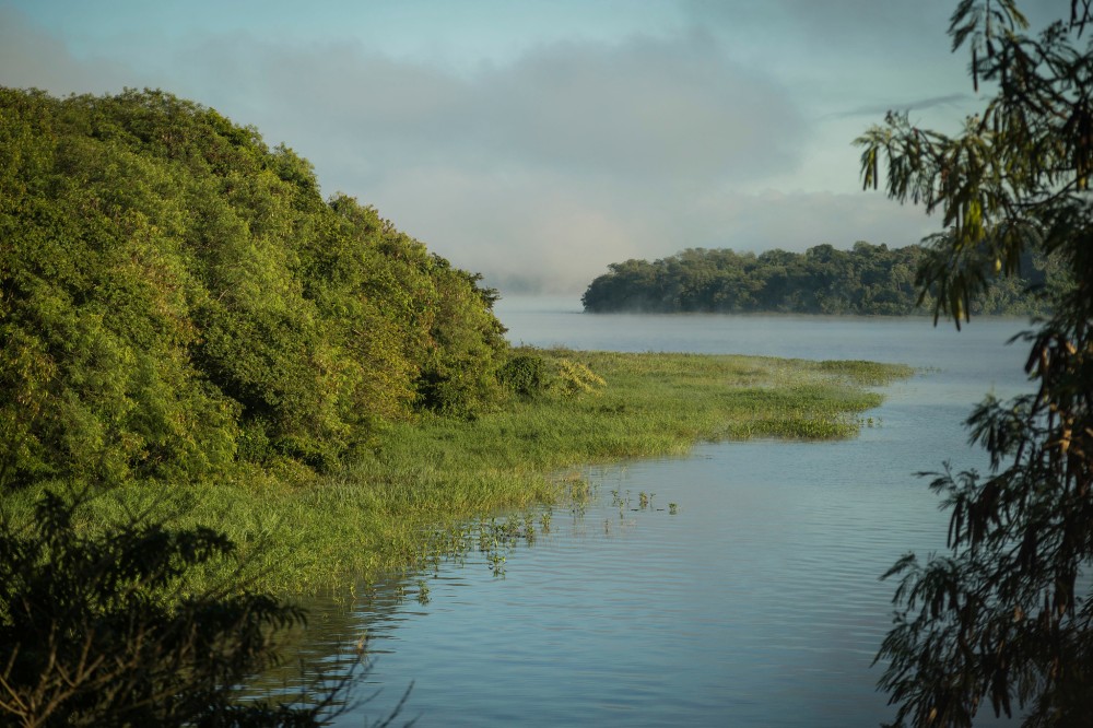Itaipu faz inventário histórico do Refúgio Biológico de Santa Helena