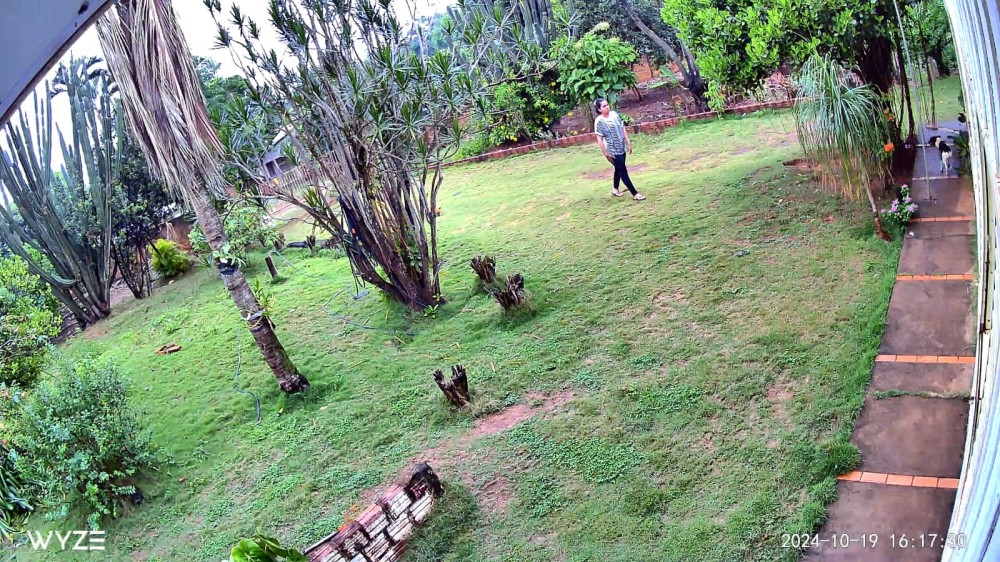 ‘Gatuna’ se passa por benzedeira e furta cartão de aposentada quando benzia a casa da vítima