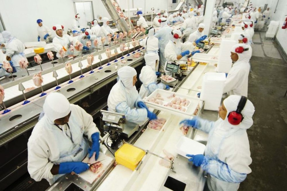 Levo Alimentos busca por 95 profissionais em ação na Agência do Trabalhador terça-feira