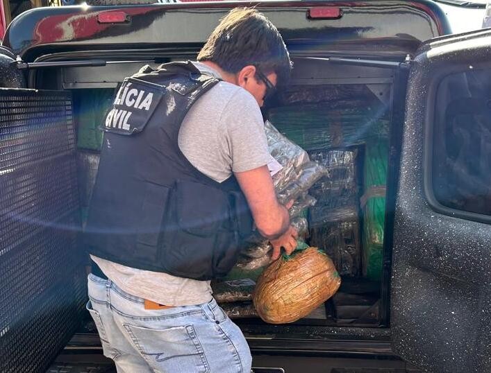 Polícia Civil destruiu quase meia tonelada de maconha em Cidade Gaúcha