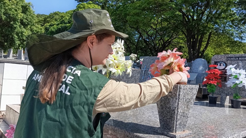 Arrastão no cemitério para identificação de focos do mosquito da dengue