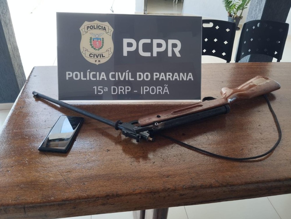 Arma de fogo é apreendida em Francisco Alves em ação da Polícia Civil