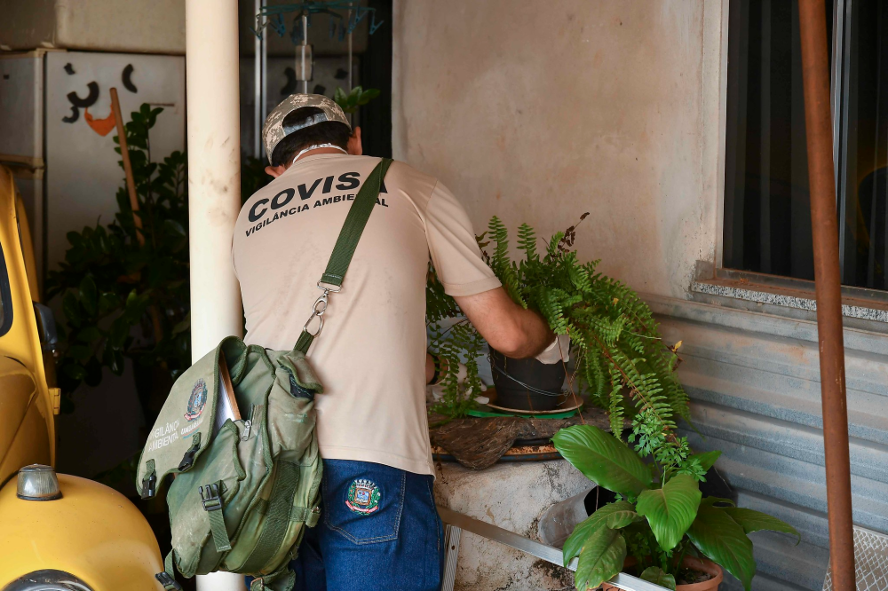 Mais dois casos de dengue ocorridos em agosto foram confirmados esta semana