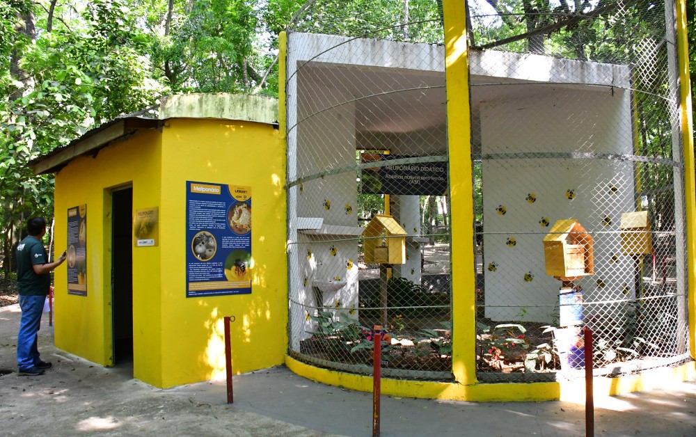 Prefeitura faz parceria com a UEM para criação de abelhas sem ferrão no Bosque Uirapuru