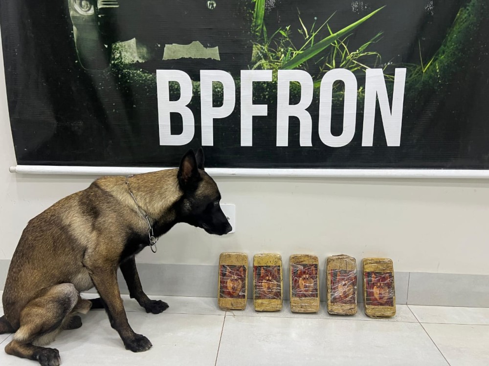 BPFRON prende carregamento de crack avaliado em quase R$ 120 mil em Umuarama