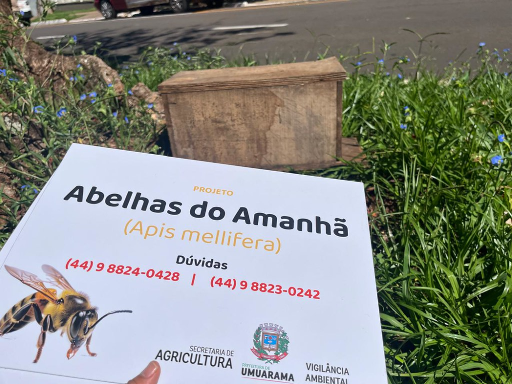 Secretaria de Agricultura lança projeto ‘Abelhas do Amanhã’ com instalação de caixas para atrair os insetos