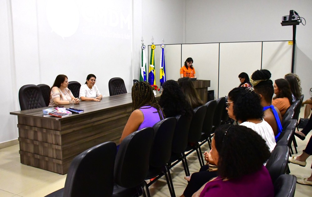 Conselho Municipal dos Direitos da Mulher lança campanha de ativismo pelo fim da violência