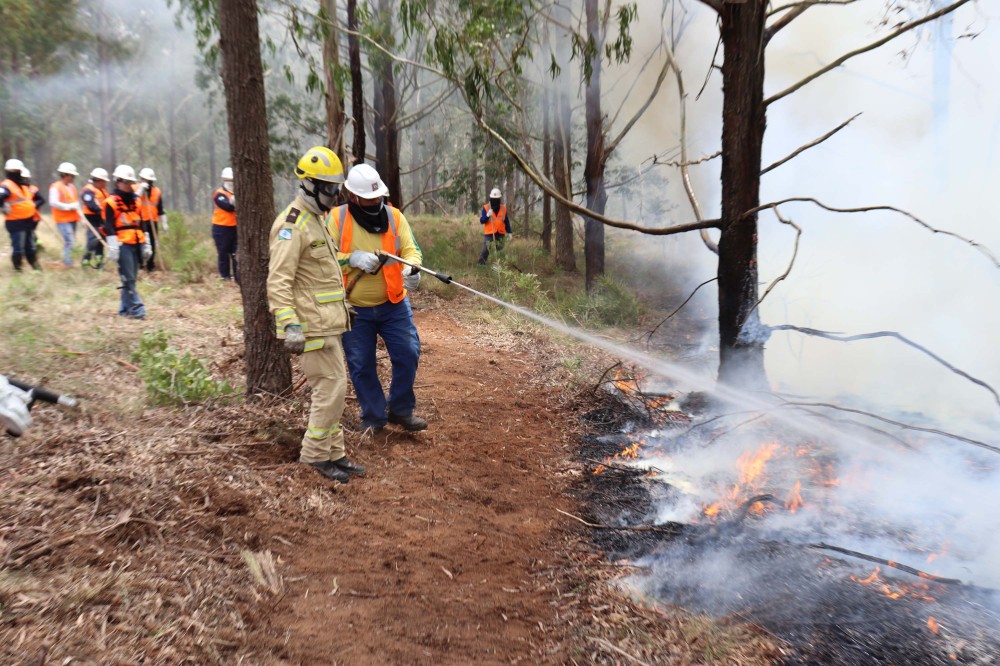 Governo do Paraná conclui capacitação de 540 brigadistas florestais em 100 municípios