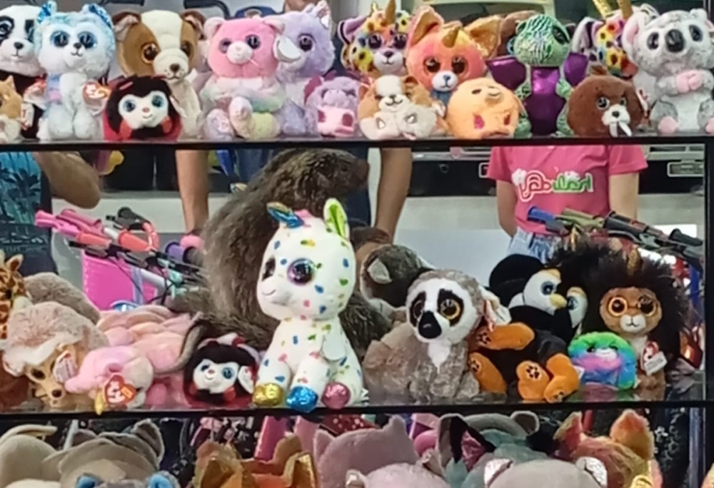 Ouriço invade loja de brinquedos no centro da cidade e se ‘camufla’ entre os bichos de pelúcia