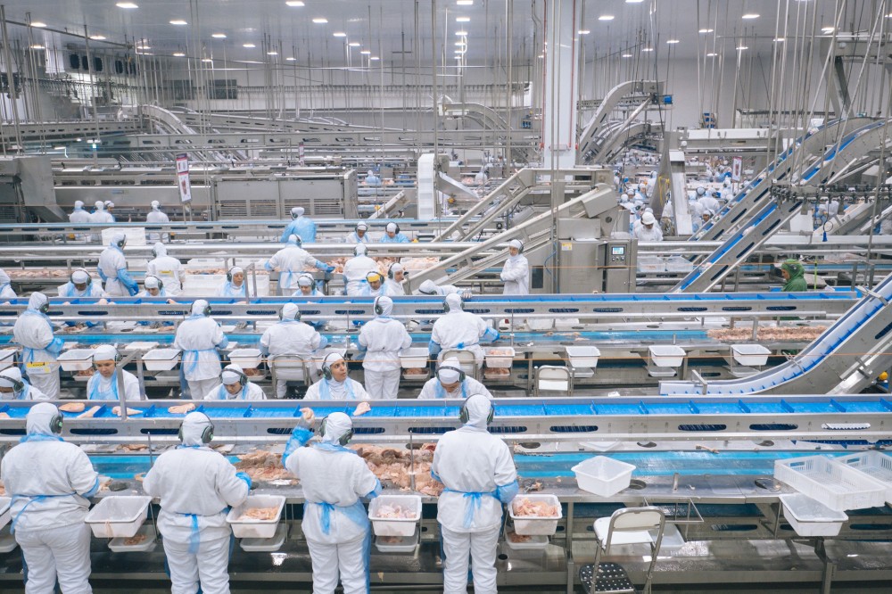 Levo Alimentos tem 98 vagas para linha de produção com salário inicial de R$ 2.350