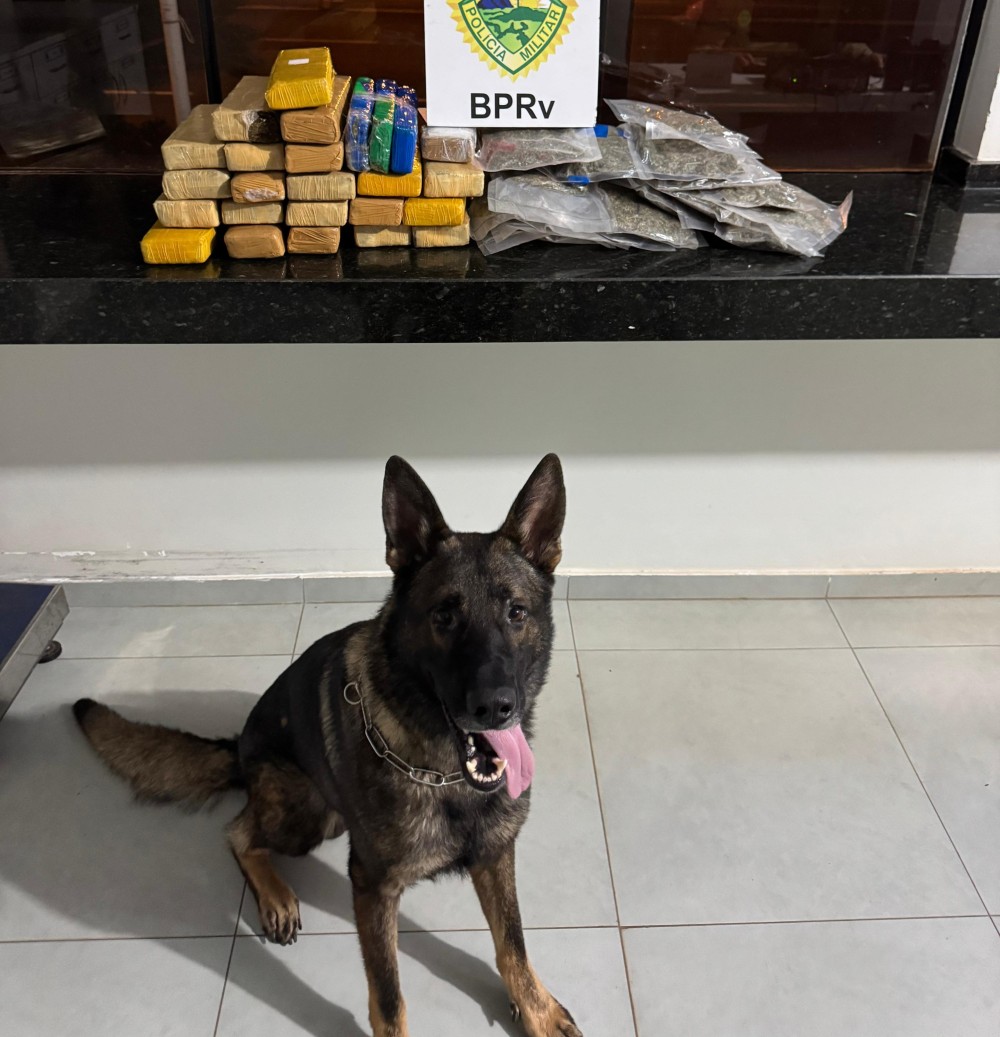 Polícia Rodoviária aborda ônibus na rodovia PR-323 e cão farejador encontra bagagem cheia de maconha
