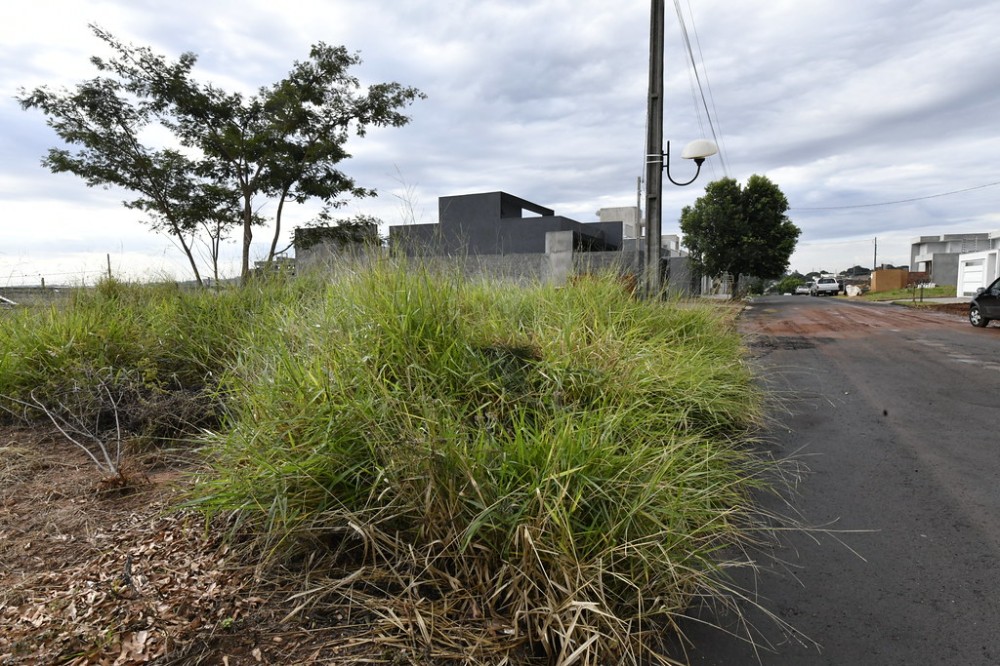 Fiscalização já emitiu mais de 7.176 notificações para terrenos com mato alto ou lixo