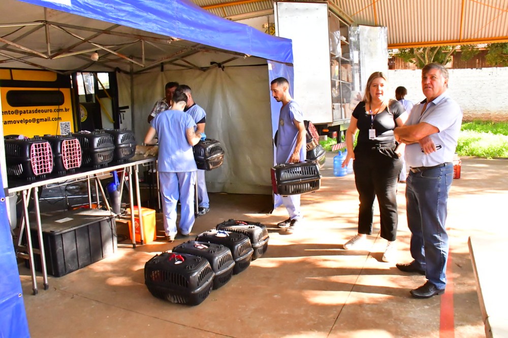 Programa Castrapet esteriliza 111 cães e gatos em sua terceira edição em Umuarama